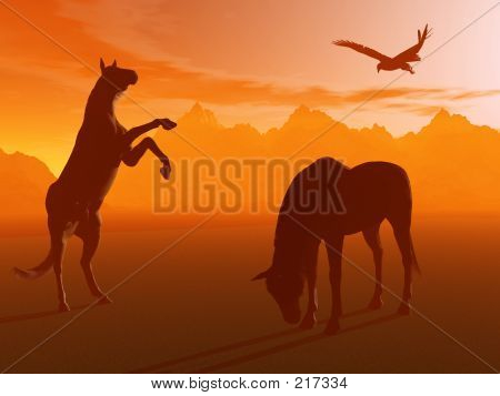 엄청난 말이 글, 안개 아침입니다.