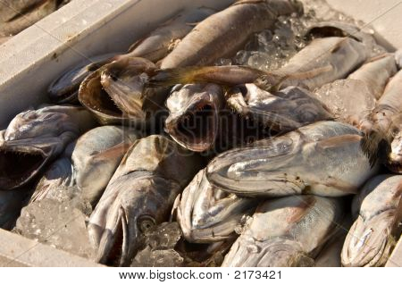 Poisson