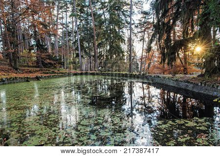 Natural park with lake and trees in Topolcianky Slovak republic. Sunset scene. Travel destination.
