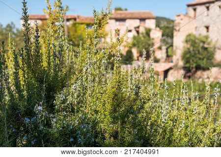 View Of The Romanesque Church Of Santa Maria De Siurana In Siurana Tarragona Catalunya Spain. Copy S