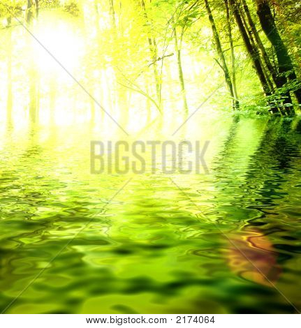 ฟอเรสต์กรีน