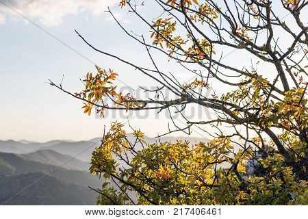 Rocky Landscape In Siurana De Prades Tarragona Spain. Copy Space For Text