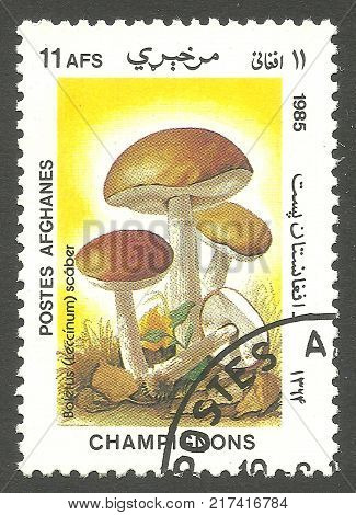 Afghanistan - stamp 1985 Multicolor Edition Flora Series Mushrooms Birchmushrooms