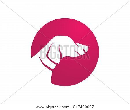 Dog Animals Logo Pets Shop Template Icons App