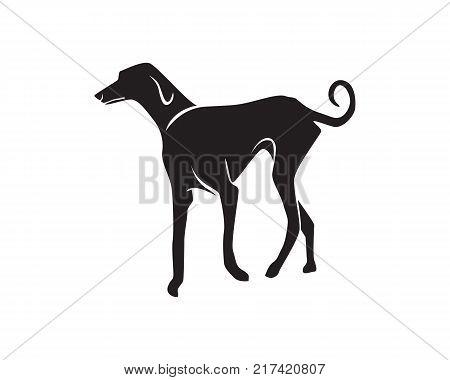 Dog Animals Logo Pets Shop Template Icons App