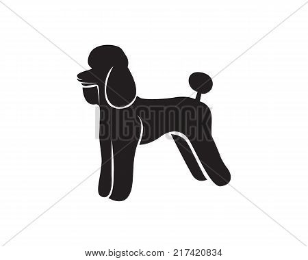 Dog Animals Logo Pets Shop Template Icons App