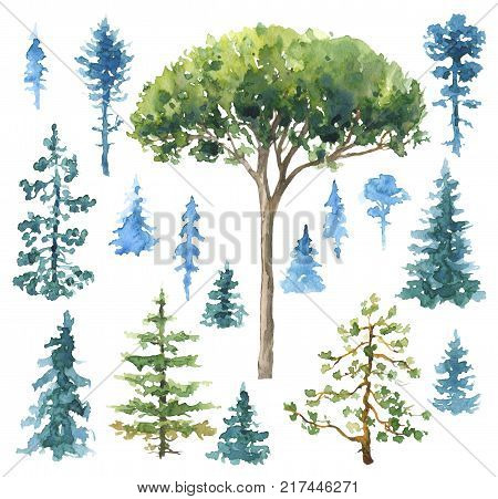 Watercolor painting. Hand drawn illustration. Set of conifers and evergreen trees isolated on white.