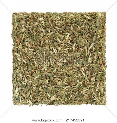 Goats rue herb used in alternative herbal medicine as a diuretic, a tonic and increases breast milk production , isolated on white background. Galega officinalis.