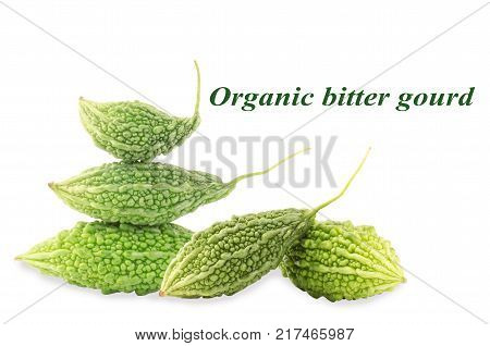 Organic bitter gourd or bitter melon isolated on white background