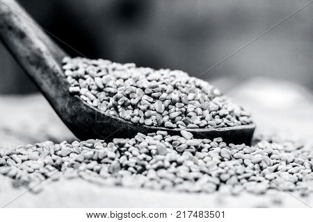 Fenugreek Seeds In A Wooden Scoop On A Gunny Background.