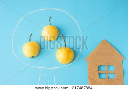 First Flowers In Spring