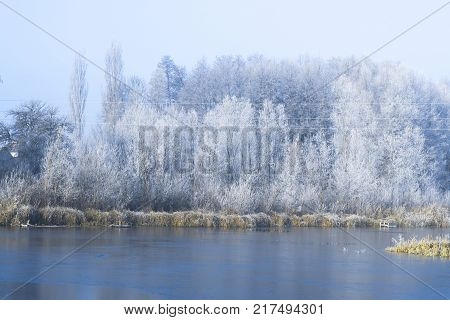 Morning landscape pond in a frosty winter morning