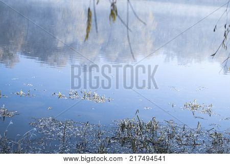 Morning landscape pond in a frosty winter morning