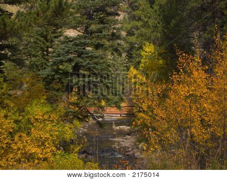 Ponte di autunno