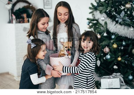 Four girls are standing by the fir-trees and looking at the gifts. New Year holidays. The time to realize dreams. A gift in the box. New Year\'s Symbol