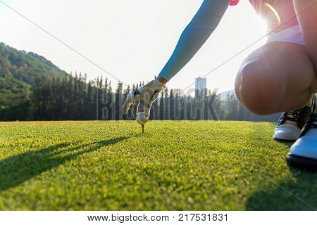Lady golfer places a golf ball and tee in the ground evening time. Lifestyle Concept.