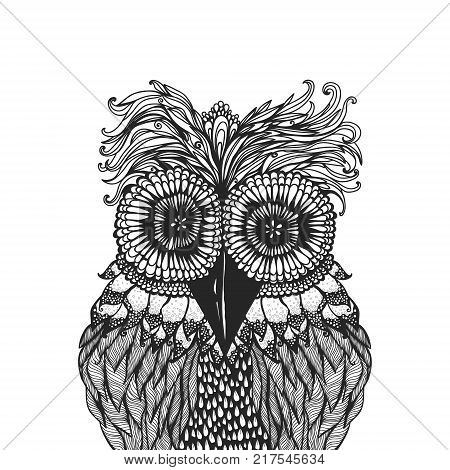Vector illustration of an owl. Stylized vector illustration