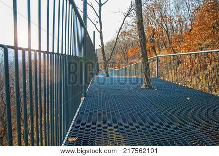autumn forest, Safari Park, it highest bridge to walking people. Russia. Primorskiy Kray