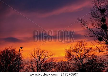 very beautiful sunset in the park colorful trees