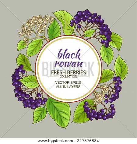 black rowan vector frame on color background