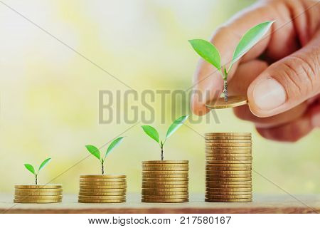 step growing plant with hand putting coins on stack for saving money business concept