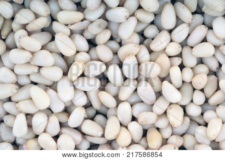 image of one cedar nut at day
