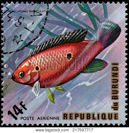 REPUBLIC OF BURUNDI - CIRCA 1974: a postage stamp, printed in Burundi, shows a fish Jewel Cichlid (Hemichromis bimaculatus)