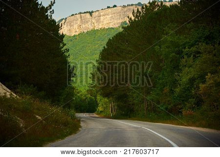 Road wriggles in a forest and leads to mountain at the background
