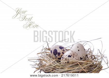 Easter Eggs