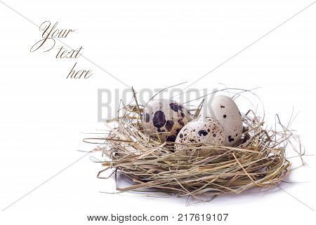 Easter Eggs