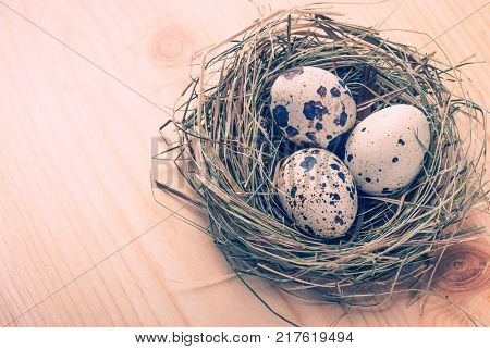 Easter Eggs