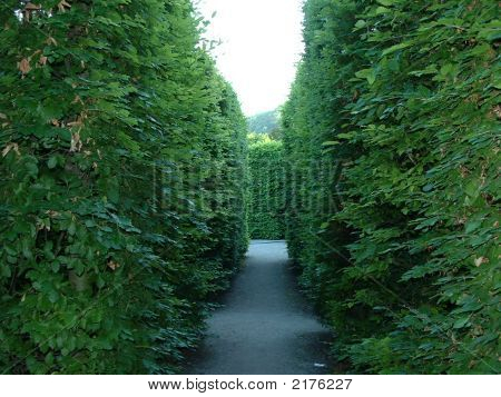 Mirabell-haverne Salzburg