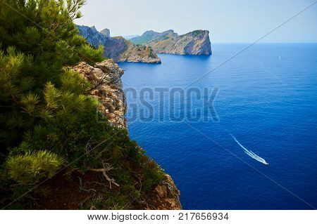 View from the top of a cliff with pines to the sea