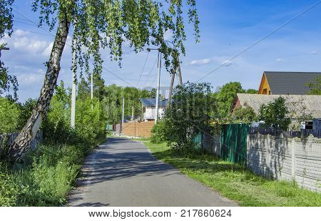 Rural dirt road with tire tracks leading straight through lush green pastures and farmland in a receding view