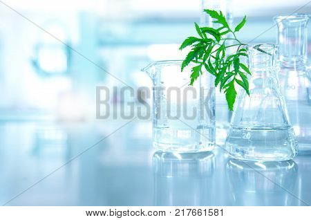beaker and flask with nature green leave in biotechnology science laboratory background