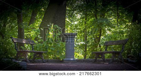 wooden bench on a lawn with green grass.