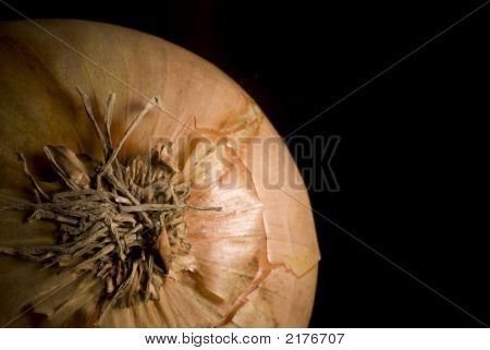 Onion