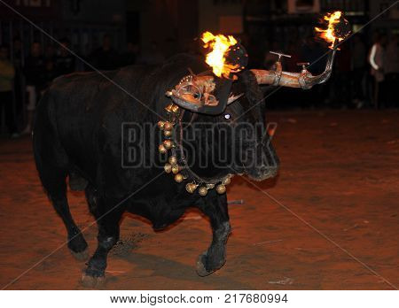 bull in spain with fire in the horns