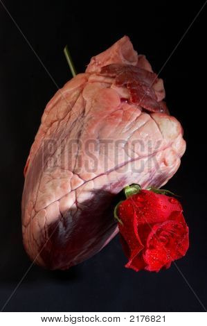 Hjertet og Rose.
