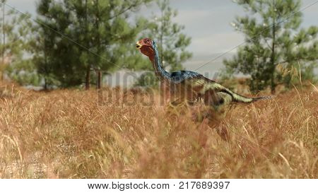 3d rendering of the caudipteryx dinosaurus