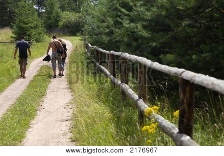 Turist orman yolda gidiyorsun