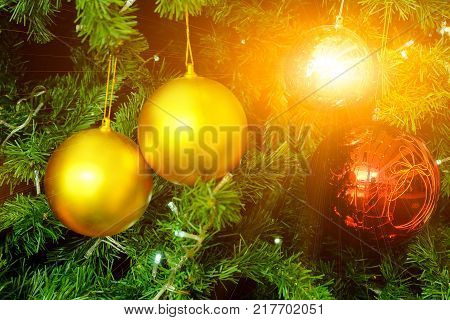 fir tree in chirstmas festivals with flares light and balls background