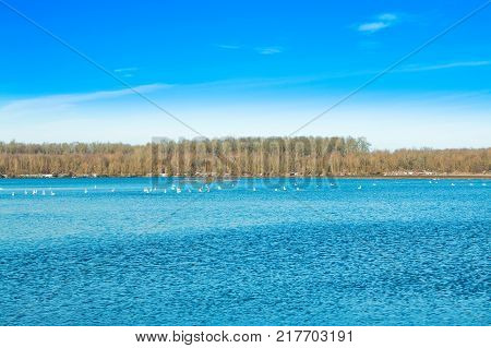 Beautiful landscape in coutryside, lake in Garešnica, Croatia