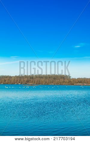 Beautiful landscape in coutryside, lake in Garešnica, Croatia