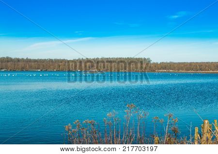 Beautiful landscape in coutryside, lake in Garešnica, Croatia
