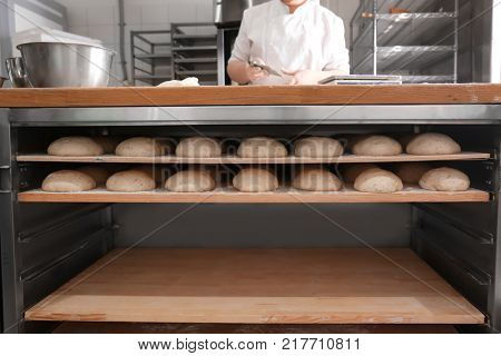Raw loaves of bread on shelves in bakery