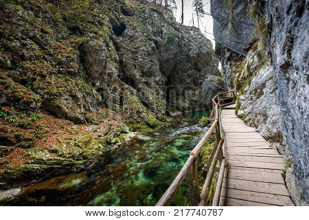 Soteska Vintgar, The Vintgar Gorge Or Bled Gorge In Slovenia.