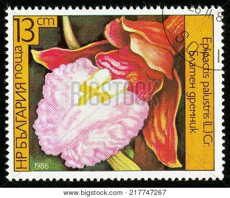 UKRAINE - circa 2017: A postage stamp printed in Bulgaria shows Orchid Epipactis palustris Series Orchids circa 1986