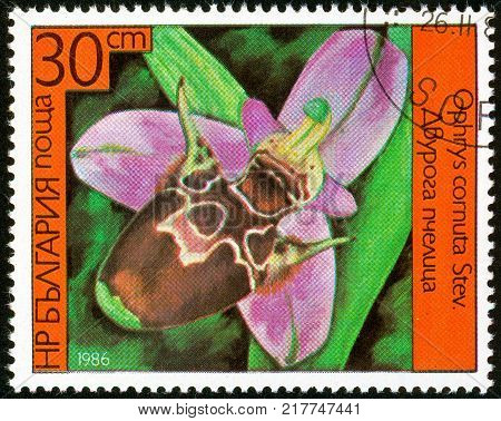 UKRAINE - circa 2017: A postage stamp printed in Bulgaria shows Orchid Epipactis palustris Series Orchids circa 1986