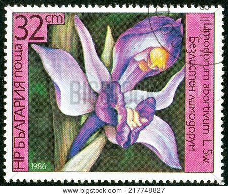 UKRAINE - circa 2017: A postage stamp printed in Bulgaria shows Orchid Limodorum abortivum Series Orchids circa 1986